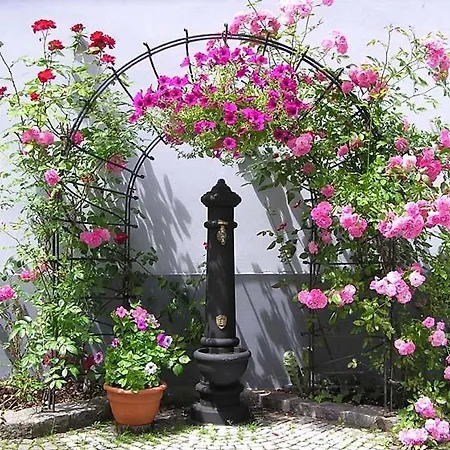 A Restaurace U Misku 3* Třeboň